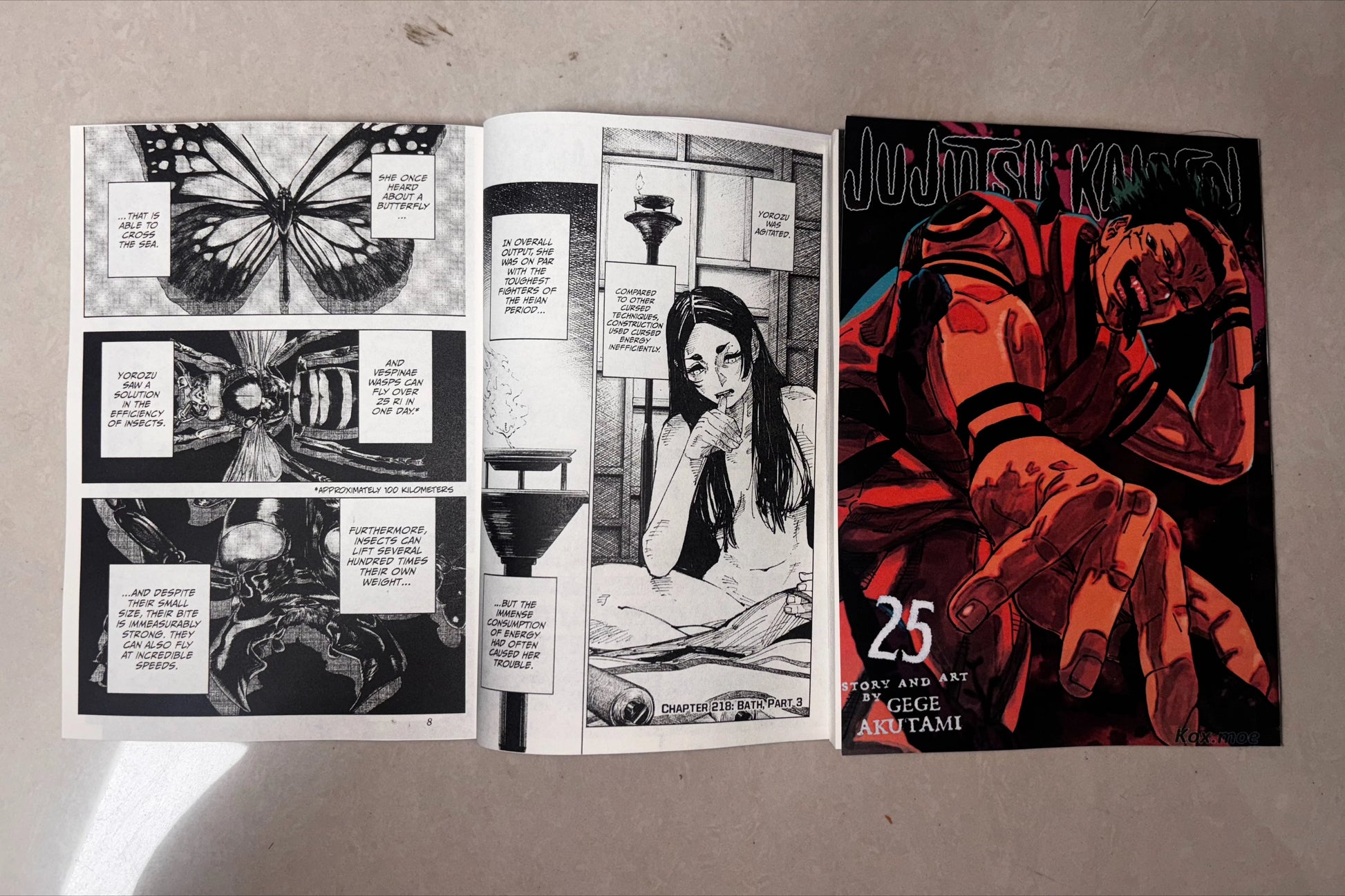 Opened manga book with black-and-white panels, plus a closed illustrated cover